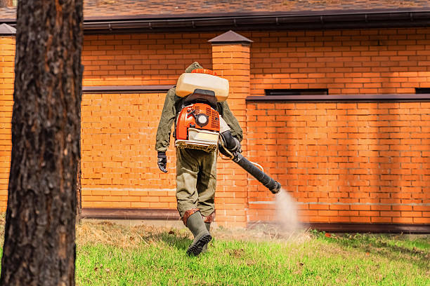 Trusted Termite Control service in Malaga, NJ - Nex Pest Control